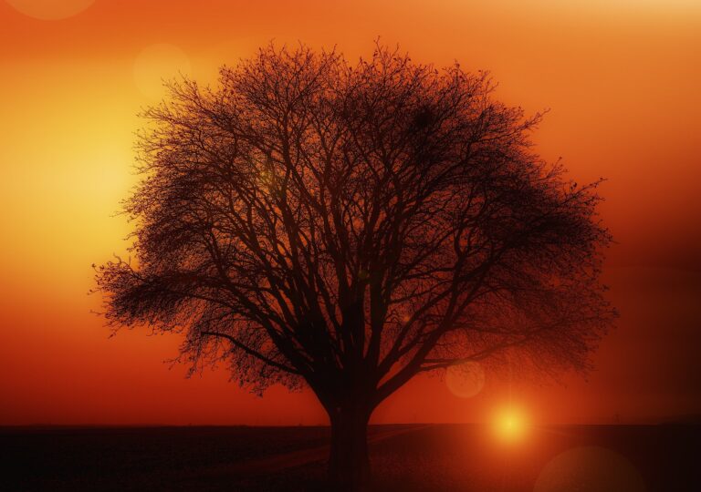 God’s Love Will Put An End To The Endless Battles Of Your Life (12th March 2021)