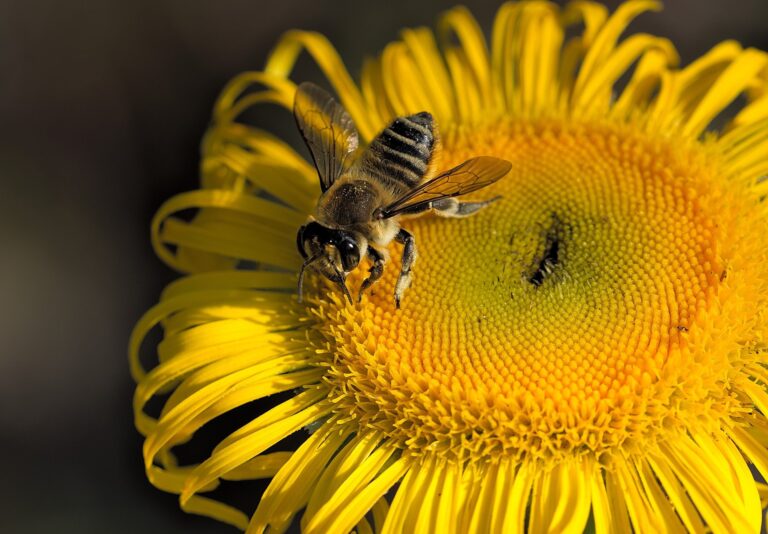 God’s Love Makes the Difference (25th August 2021)