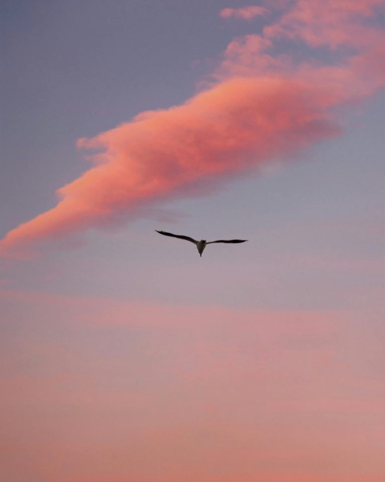 Acknowledging God as Our Sustainer