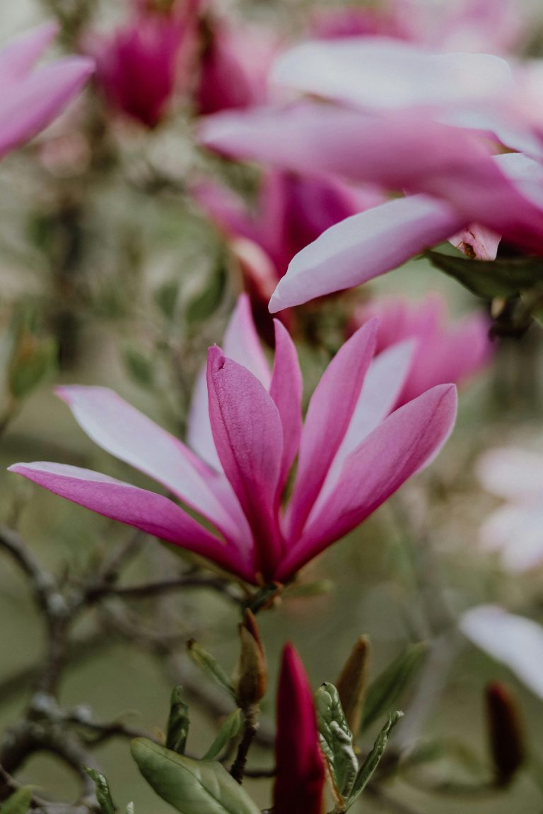 Living Intentionally In Wisdom