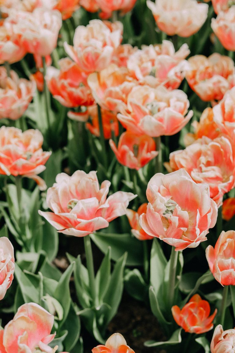 Setting Healthy Boundaries Against Sexual Temptation