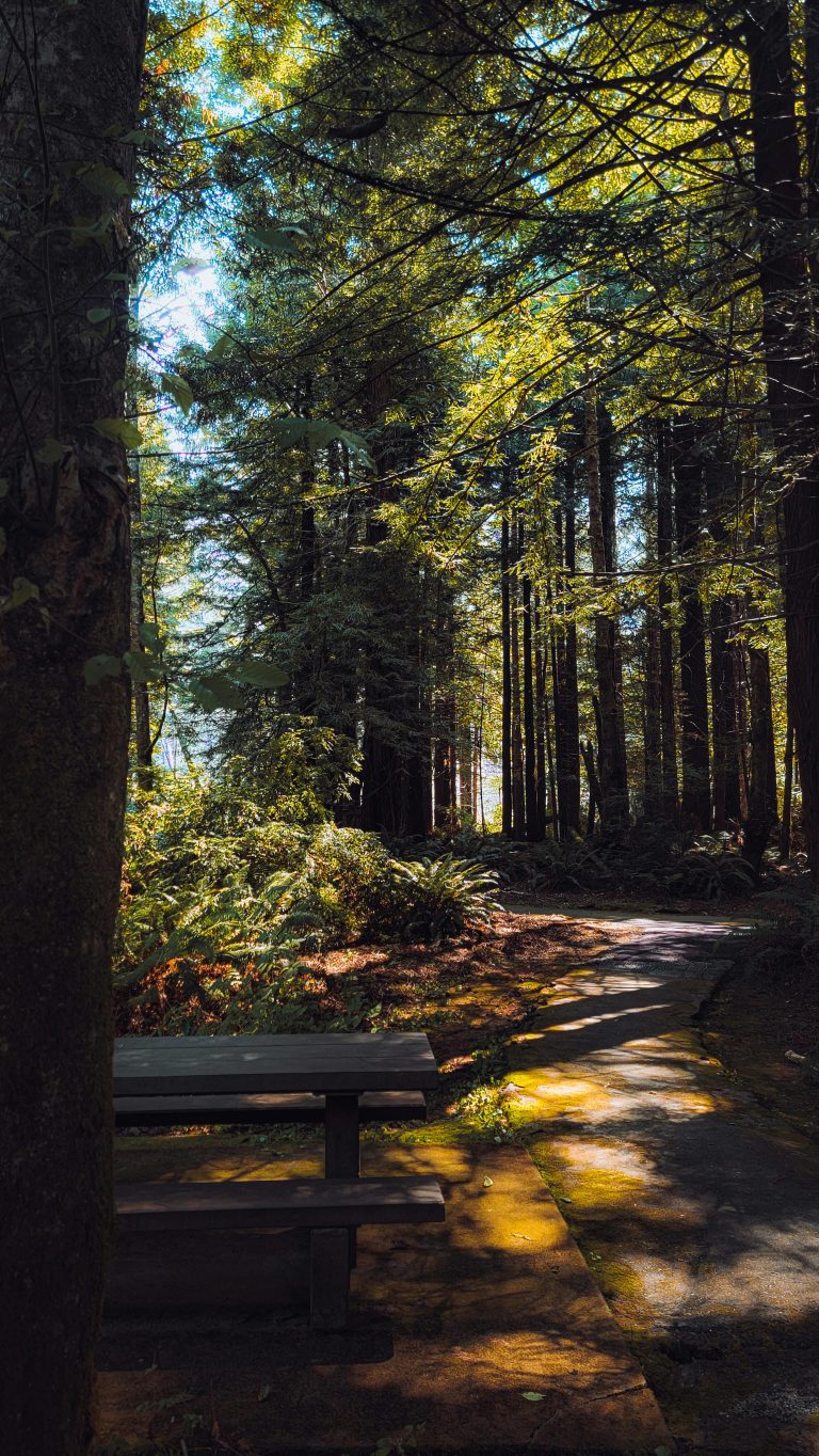 The Beauty of Faithfulness in Marriage