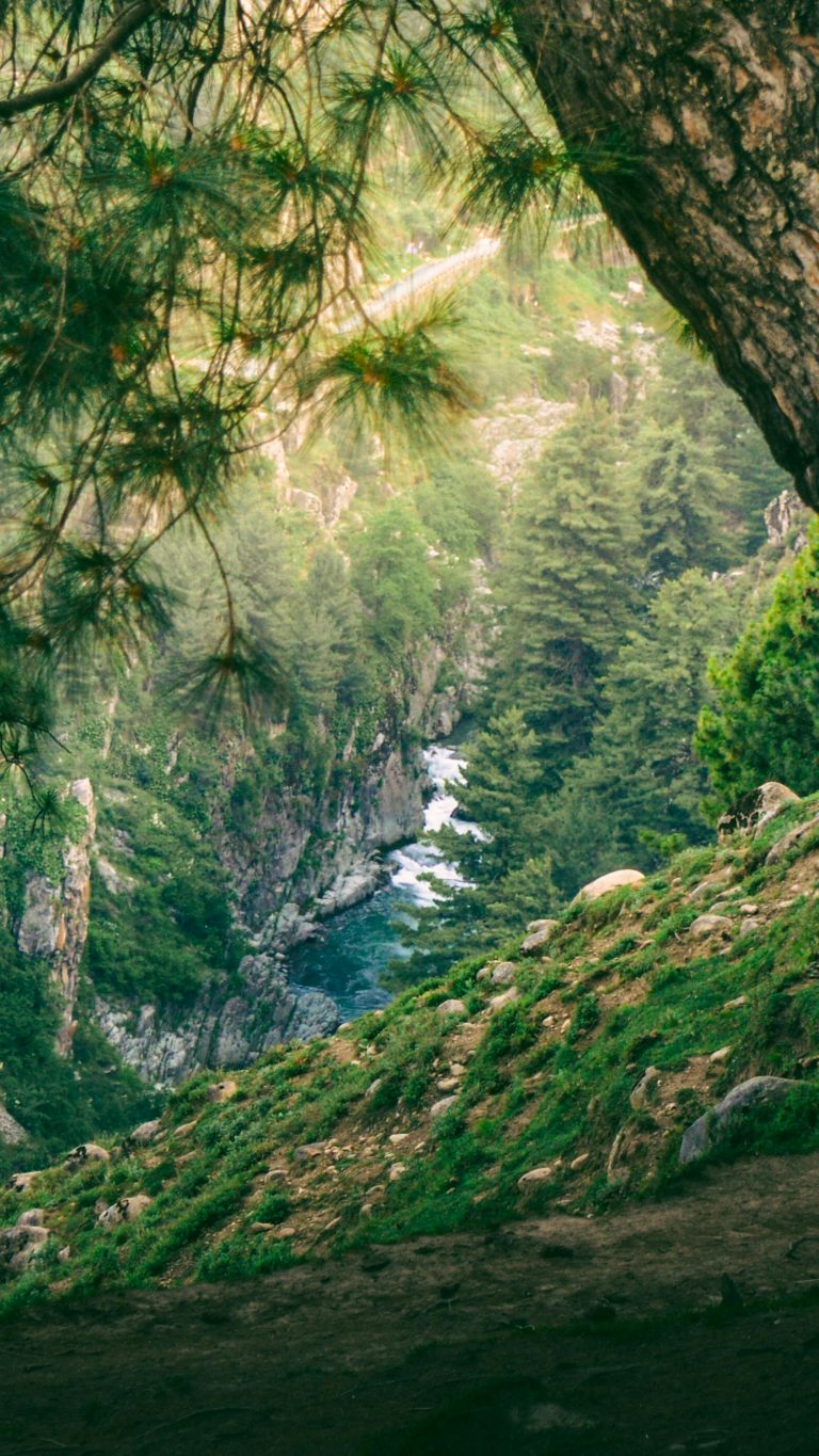 Abstaining to Protect Your Future