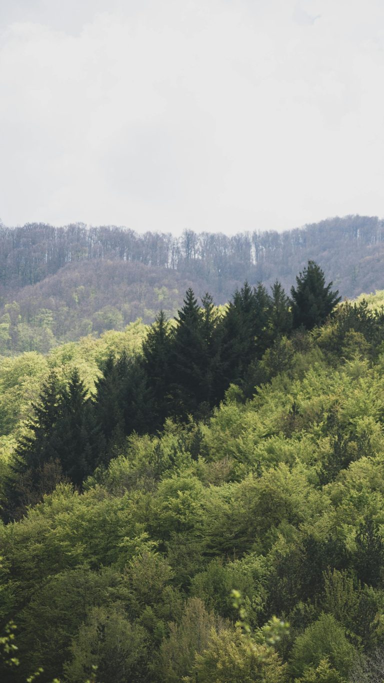 Yielding Leads to Public Disgrace