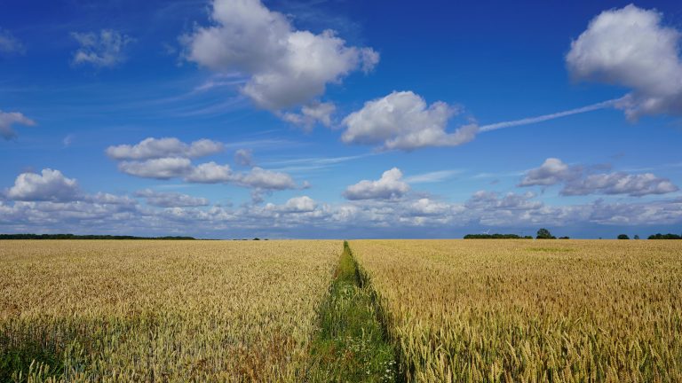 Contentment, Delight, and Lasting Intimacy