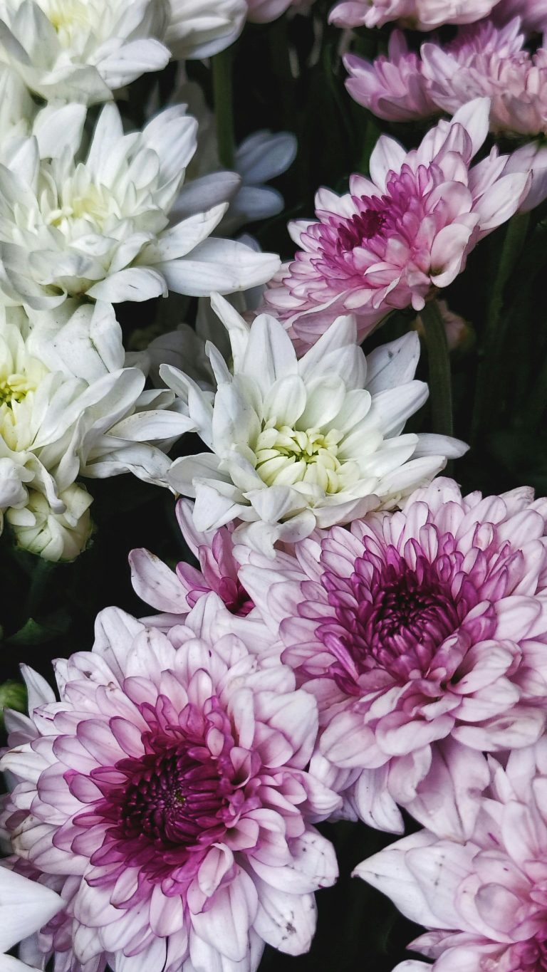 Understanding: A Virtue You Can’t Live Without